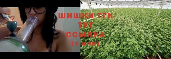 mdpv Белокуриха