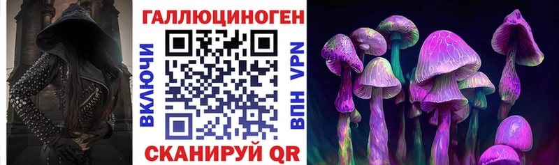 купить  цена  Благовещенск  Псилоцибиновые грибы Cubensis 